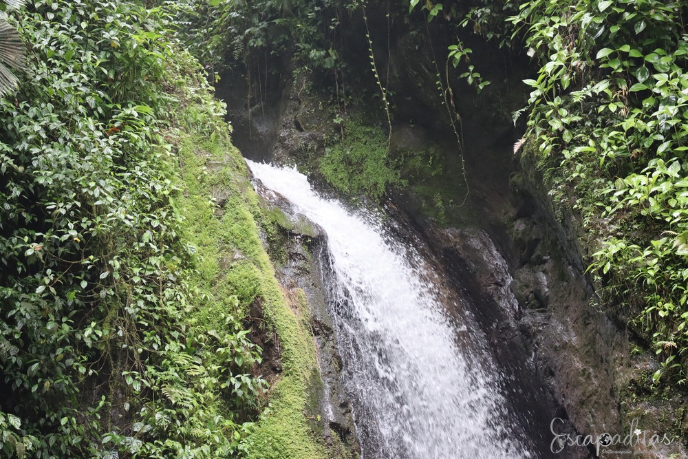 Parc Mistico - Ponts suspendus Costa Rica